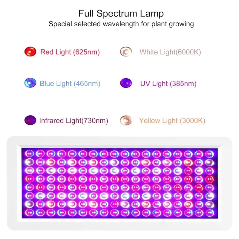2026 Latest UV Light Box for S - огляд і ціна 3D Printer